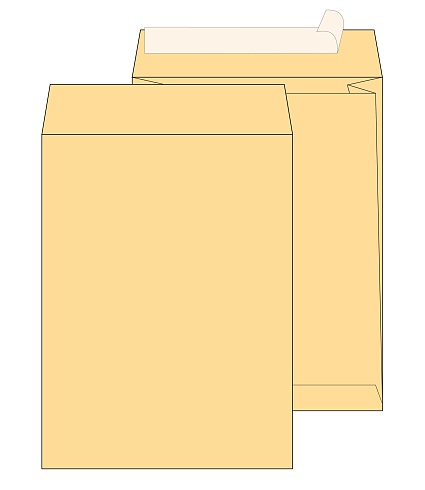 Почтовый пакет с боковым расширением LARGEPACK Е4 (300x400 мм), стрип крафт